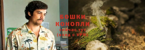 2c-b Богданович