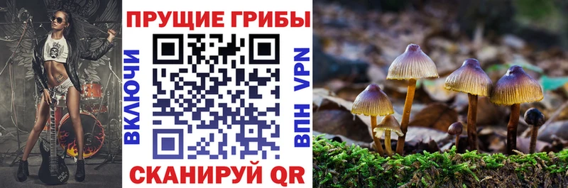 Галлюциногенные грибы Magic Shrooms  купить наркоту  ОМГ ОМГ ONION  Десногорск 